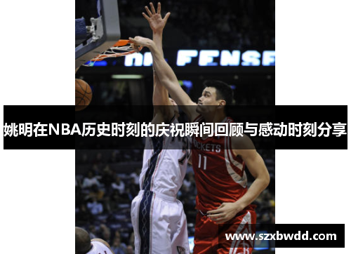 姚明在NBA历史时刻的庆祝瞬间回顾与感动时刻分享