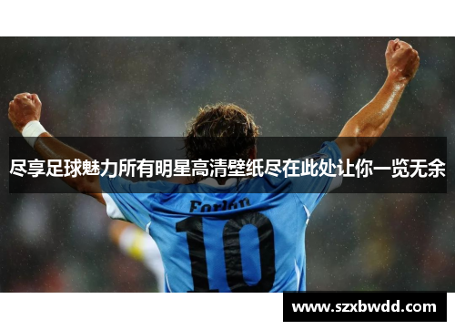 尽享足球魅力所有明星高清壁纸尽在此处让你一览无余