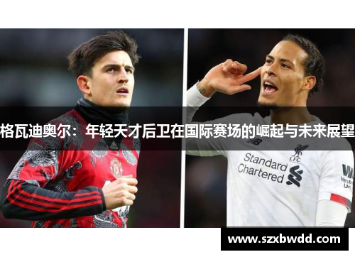 格瓦迪奥尔：年轻天才后卫在国际赛场的崛起与未来展望
